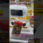 北海道 札幌市 白石区 本通 ゲームセンター ゲーセン ゲーム クレーンゲーム UFOキャッチャー お菓子 おやつ ひとくちソースカツ アミューズメント専用景品 アームパワーMAX 持ち上げた 失敗