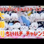 ちいかわ ぬいぐるみパスケースポーチ① 大勝利!! ちいハチにチャレンジ！ 確率or自力ゲット!?