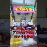 【永久保存版】明日から使えるプロが使うぬいぐるみの取り方#クレーンゲーム #クレーンゲーム攻略 #ゲームセンター #ゲーセン #確率無視 #ufoキャッチャー #ユーフォーキャッチャー #ぬいぐるみ