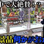 【クレーンゲーム】何だこれ⁉︎話題の景品を狙おうとしたら不可思議な展開に…【ufoキャッチャー】