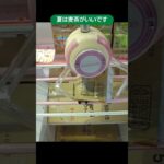 【クレーンゲーム攻略】ベネクス浦和店のufoキャッチャーで夏にはいいむぎ茶の景品をゲット #shorts