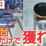 【ラウンドワン店】よく見かけるクレーンゲーム台で景品を取るコツを紹介