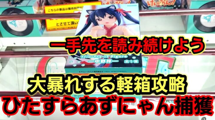 【趣味】必見。【その形】から読み取れる情報の大切さ【クレーンゲーム】