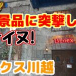 【クレーンゲーム】レア景品を求めて突撃したら、問答無用の負け犬に…