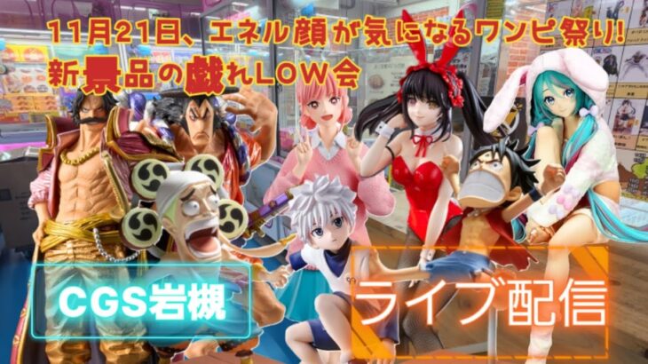 心綱必須！？新景品ワンピ多めのクレゲライブ配信