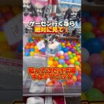 クレーンゲームで得するテクニック紹介します！#クレーンゲーム #クレーンゲーム攻略 #確率無視 #ゲームセンター #ぬいぐるみ #レム #白上フブキ #ハッピーターン #モフサンド