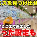 【ゲーセン攻略】新店舗に潜入して設定ミスを見つけ出せ！！！【クレーンゲーム】