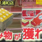 【ベネクス浦和店】クレーンゲーム日本一獲れるお店にある飲み物の景品の取るコツを紹介