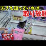 取り方さえ知っていれば取り放題？？【千葉鑑定団船橋店】クレーンゲーム