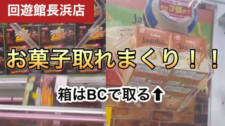 【クレーンゲーム】回遊館長浜店でお菓子とラジコンを最短でゲットしてみた。