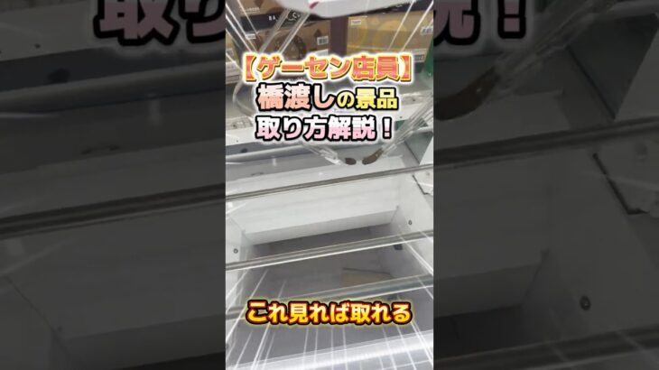 【これ見れば取れる】橋渡し景品の取り方大暴露！【山梨 クレーンゲーム 倉庫系】