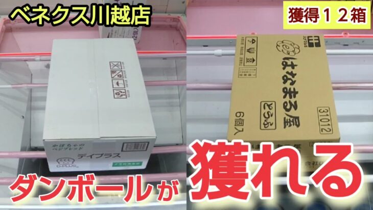 【ベネクス川越店】クレーンゲーム日本一獲れるお店でダンボールの景品を取るコツを紹介