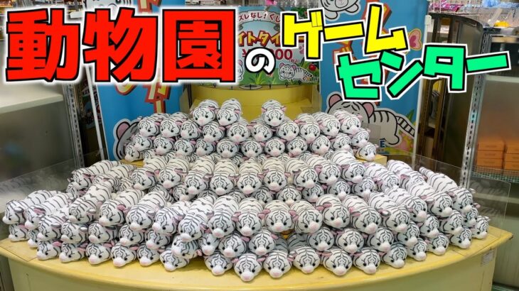 巨大動物園のゲームセンターは設定がガチでカオス状態だったww【クレーンゲーム／UFOキャッチャー】