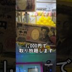 【超大量】ひよこキャッチャー1,000円チャレンジ！ #クレーンゲーム #ひよこ #ゲームセンター