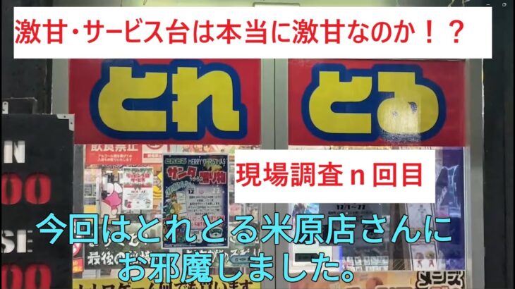 [クレーンゲーム] #11　とれとる米原店　激甘サービス台を狙ってきた結果