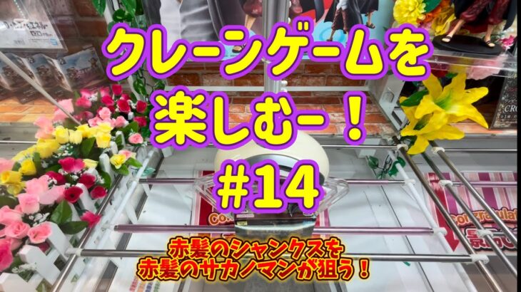 【クレゲ】クレーンゲームを楽しむー！#14【UFOキャッチャー】