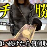 【クレーンゲーム】1年間とある店舗に通い続けたら5000円で何個取れる？【ufoキャッチャー】