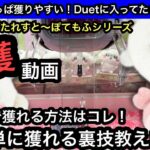 200円で獲れる方法教えます！ちいかわ ぴたれすと～ぽてもふシリーズが個数制限無かったので乱獲してきた！【クレーンゲーム】【JapaneseClawMachine】【인형뽑기】【日本夾娃娃】