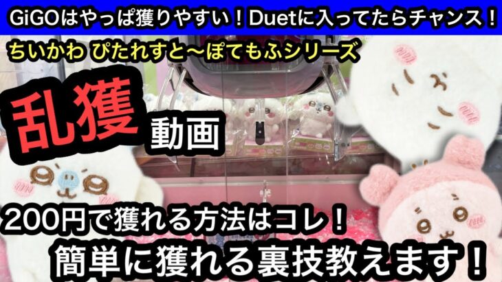 200円で獲れる方法教えます！ちいかわ ぴたれすと～ぽてもふシリーズが個数制限無かったので乱獲してきた！【クレーンゲーム】【JapaneseClawMachine】【인형뽑기】【日本夾娃娃】