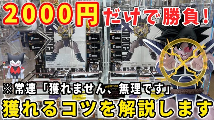 【クレーンゲーム】財布の中は2000円新景品何個取れるのか？【万代書店川越】