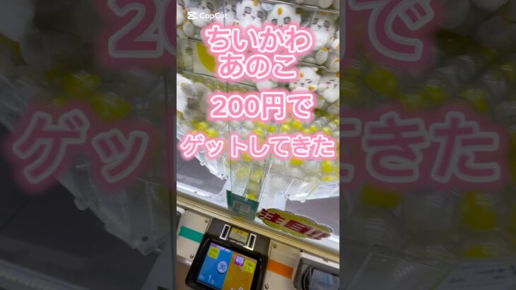 ちいかわ、あのこぬいぐるみ簡単200円ゲット！#ufoキャッチャー動画 #ufoキャッチャー #クレーンゲーム攻略 #クレーンゲーム #ちいかわ #あのこ