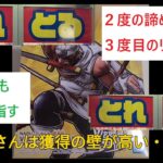 [クレーンゲーム] #１3　とれとる米原店　キラービーがなかなか取れない・・・１週間後リベンジした結果