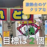 [クレーンゲーム] #１5　とれとる米原店　激熱台ミホークとゾロを挑戦した結果