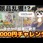 【クレーンゲーム】話題の景品で5000円チャレンジ！思わぬ攻略法を発見して大勝利⁉︎【ufoキャッチャー】