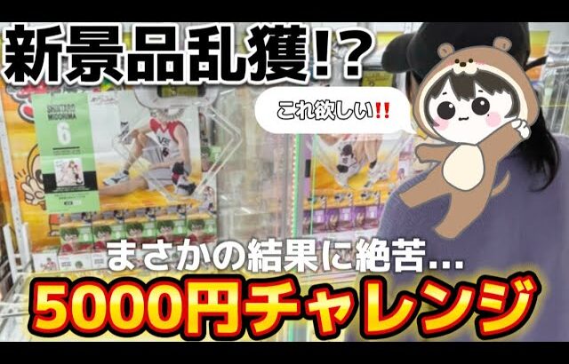 【クレーンゲーム】話題の景品で5000円チャレンジ！思わぬ攻略法を発見して大勝利⁉︎【ufoキャッチャー】