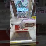 初音ミク×シナモロール500円でゲットしてきた！#ufoキャッチャー動画 #ufoキャッチャー #クレーンゲーム攻略 #クレーンゲーム #初音ミク #ゲーセン #フィギュア #タイトーステーション