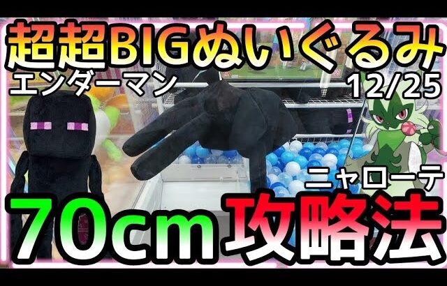 ぬいぐるみも巨大化しすぎで70cm!?超超BIGぬいぐるみ攻略法!!ROUND1 3000円チャレンジ！