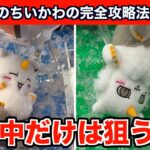 【クレーンゲーム】ちいかわ・あのこBIGぬいぐるみを確率無視で攻略するコツ３選！