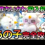 初プライズ!?新作ちいかわ『あのこBIGぬいぐるみ』2種完全攻略!!無料チケットでGETしたからダダでしたw