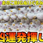 【ちいかわ】最新プライズあのこBIGぬいぐるみに挑戦！こんなことある？【ちいかわクレーンゲーム】【ちいかわUFOキャッチャー】【ちいかわプライズ】【chiikawa】【おはるのちい活vlog】