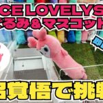 【クレーンゲーム】GIGO限定!!!TWICE LOVELYSのぬいぐるみに挑戦!!!即日完売!?