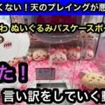 ちいかわ ぬいぐるみパスケースポーチ②に大癖！動画で沼った言い訳をしていく…【クレーンゲーム】【JapaneseClawMachine】【인형뽑기】【日本夾娃娃】