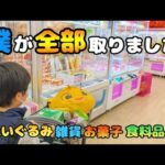 【クレーンゲーム】衝撃!?少年が超優良ゲームセンターで雑貨食料品を狙ったら驚きの結果に···【UFOキャッチャー 回遊館】