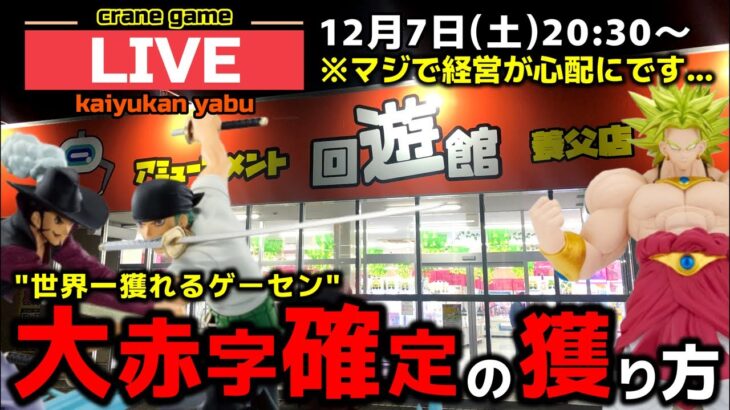 【クレーンゲーム】世界一獲れるゲーセン！大赤字確定の獲り方で新景品を獲り尽くせ！【回遊館養父店・UFOキャッチャー】