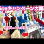 これって運ゲー？実力ゲー？twiceの景品を獲りに行ったら当たりブースを発見で大開幕www