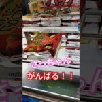 あまおういちごよ🍓#クレーンゲーム攻略 #クレーンゲーム景品 #ufoキャッチャー動画 #ゲーセン #チョコパイ