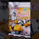 クレーンゲーム😁とれる？😱とれない？