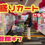 【回遊館岐阜】山盛りカートが完成！楽しすぎるお店で取りまくるぞッ★