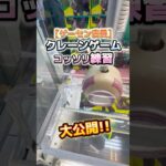 【大公開！】ゲーセン定員がクレーンゲームをこっそり練習しているところを撮影しちゃいました！