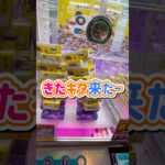 お菓子タワー🗼キター！