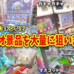 サンリオ景品狙いまくり！最後にとんでもない事が起こる…!!【クレーンゲーム、ハンギョドン、ガチャガチャ】