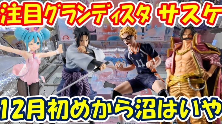 【クレーンゲーム】【倉庫系】#万代山梨 さんで大注目 #ナルト疾風伝  #サスケ 以前出た #ナルト と一緒に飾りたい!! 沼らずに行けるのか？ #ハイキュー #月島蛍 #ロジャー  #初音ミク