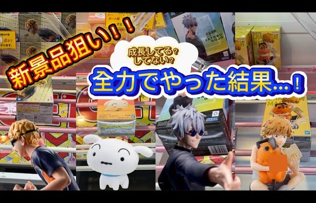 【クレーンゲーム】クレゲ初心者が新景品狙った結果…!