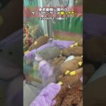 東武動物公園のゲーセンがバグってたww＃クレーンゲーム