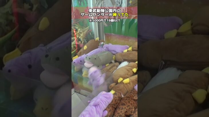 東武動物公園のゲーセンがバグってたww＃クレーンゲーム