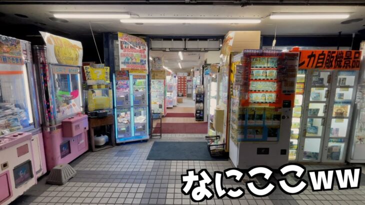 明らか怪しいお店に不思議なクレーンゲームが大量にあったww【ポケモン／UFOキャッチャー】